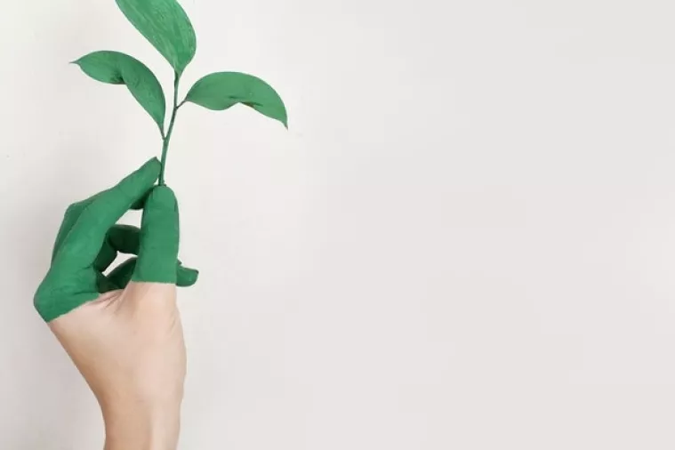 Neven Voća novi je član Upravnog odbora Fonda za zaštitu okoliša