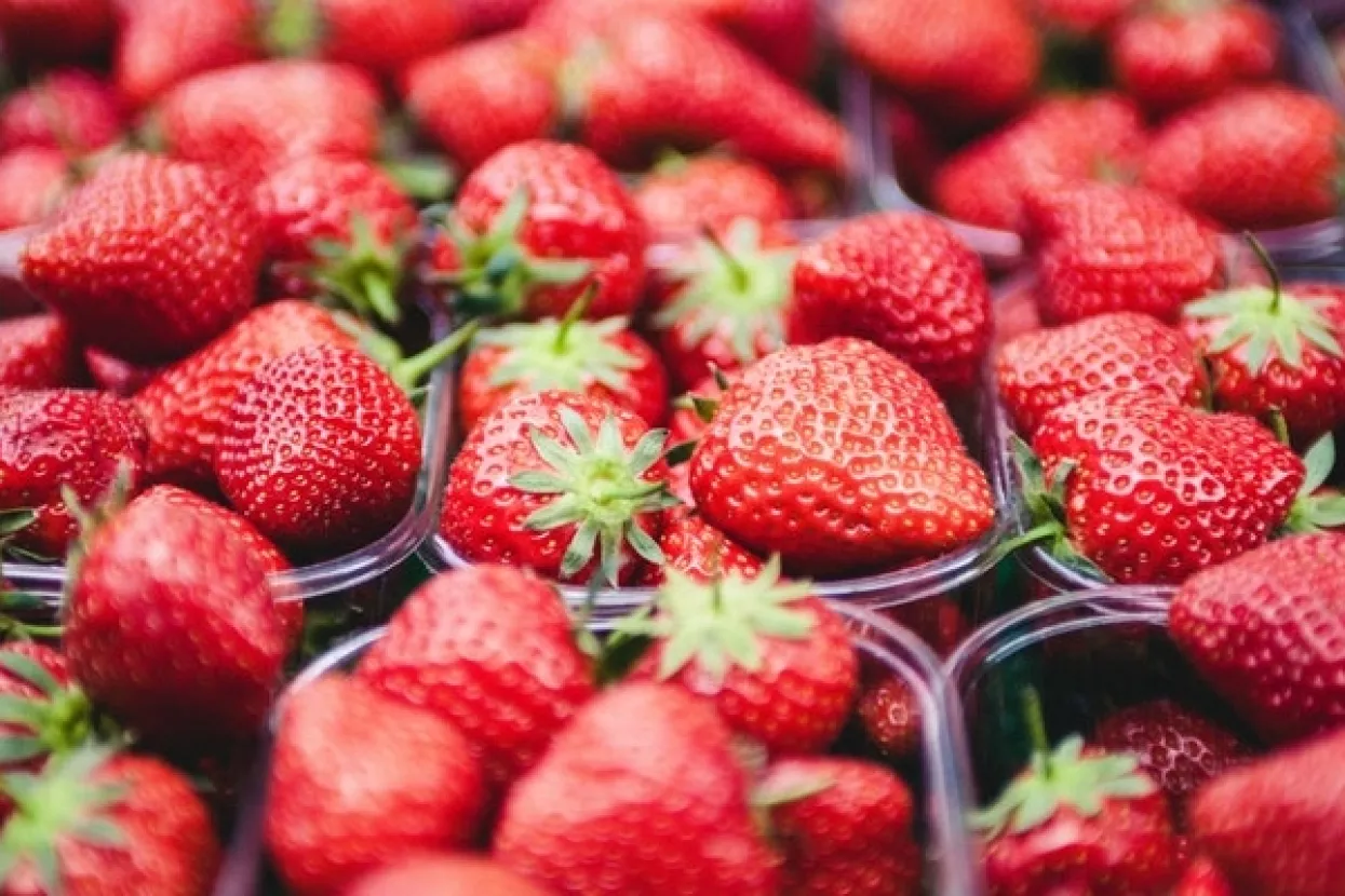 Peraić: Trgovački lanci ne uvoze jagode zbog niže nabavne cijene, nego zbog svoje politike