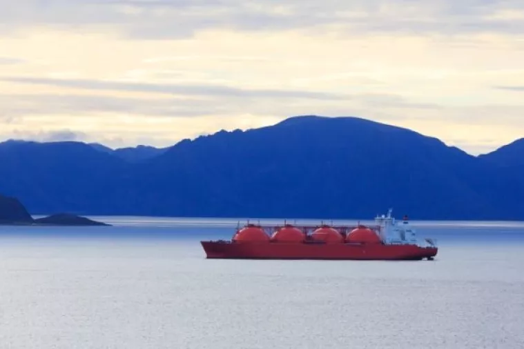 Zbog LNG terminala na Krku Zelena akcija tuži Ministarstvo zaštite okoliša