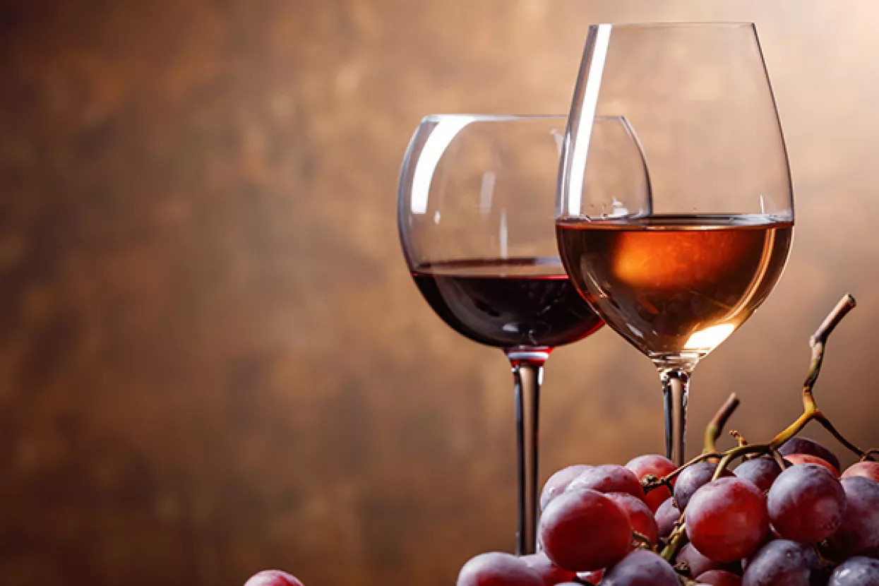 Otvoren predstečaj za Vinoplod Vinariju iz Šibenika