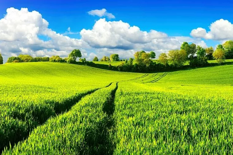 Tolušić: Omotnica EU za poljoprivredu će se smanjiti, ali očekujem da će Hrvatska dobro proći