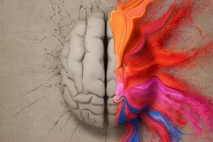 Ljudski mozak postao velik - zbog stresa uslijed potrage za hranom i skloništem