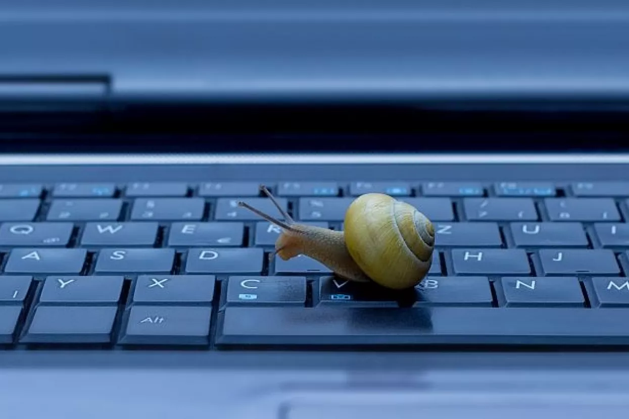 Wi-Fi u pilot projektu e-Škole skriva štetne utjecaje bežičnog interneta?