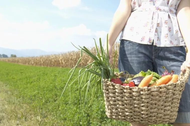 Cijena proizvodnje povrća pala za 16 posto