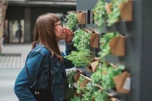 VIDEO: Središte Ljubljane pretvoreno u urbani vrt za spas pčela