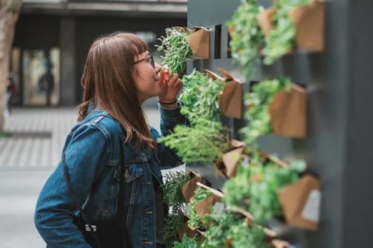 VIDEO: Središte Ljubljane pretvoreno u urbani vrt za spas pčela