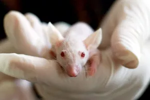 Geni nastavljaju živjeti i nakon smrti