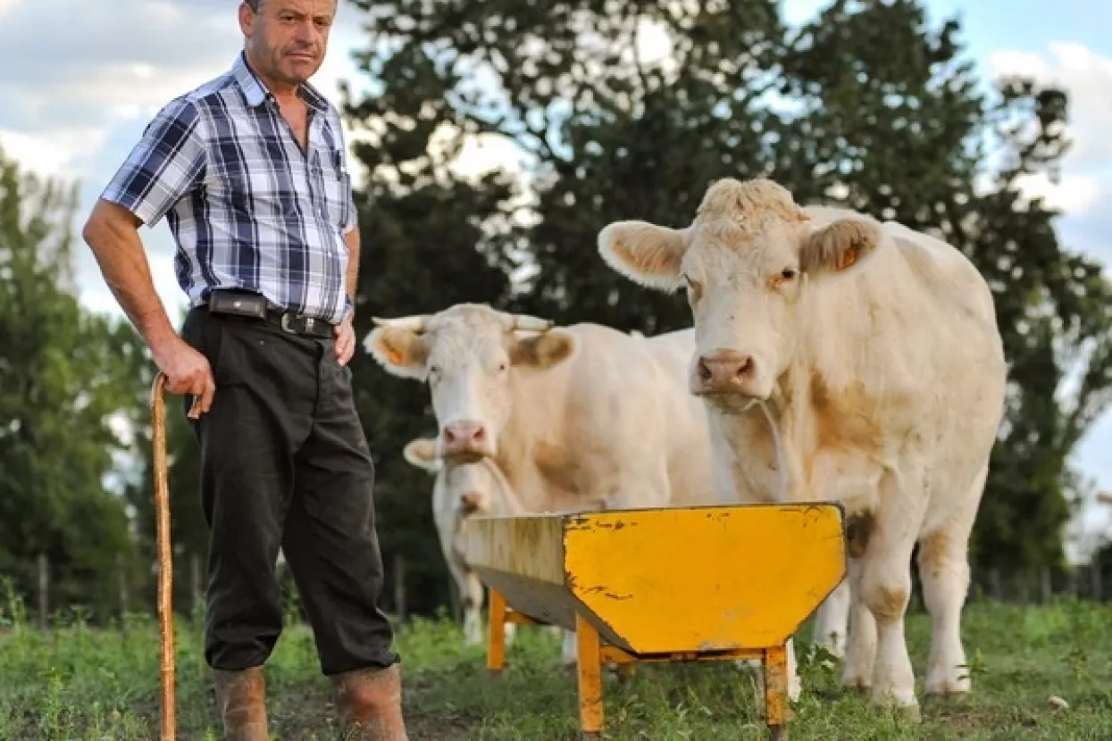 Tolušić: Posljednjih dvadesetak godina razvijali smo kulturu lihvarenja poljoprivrednika