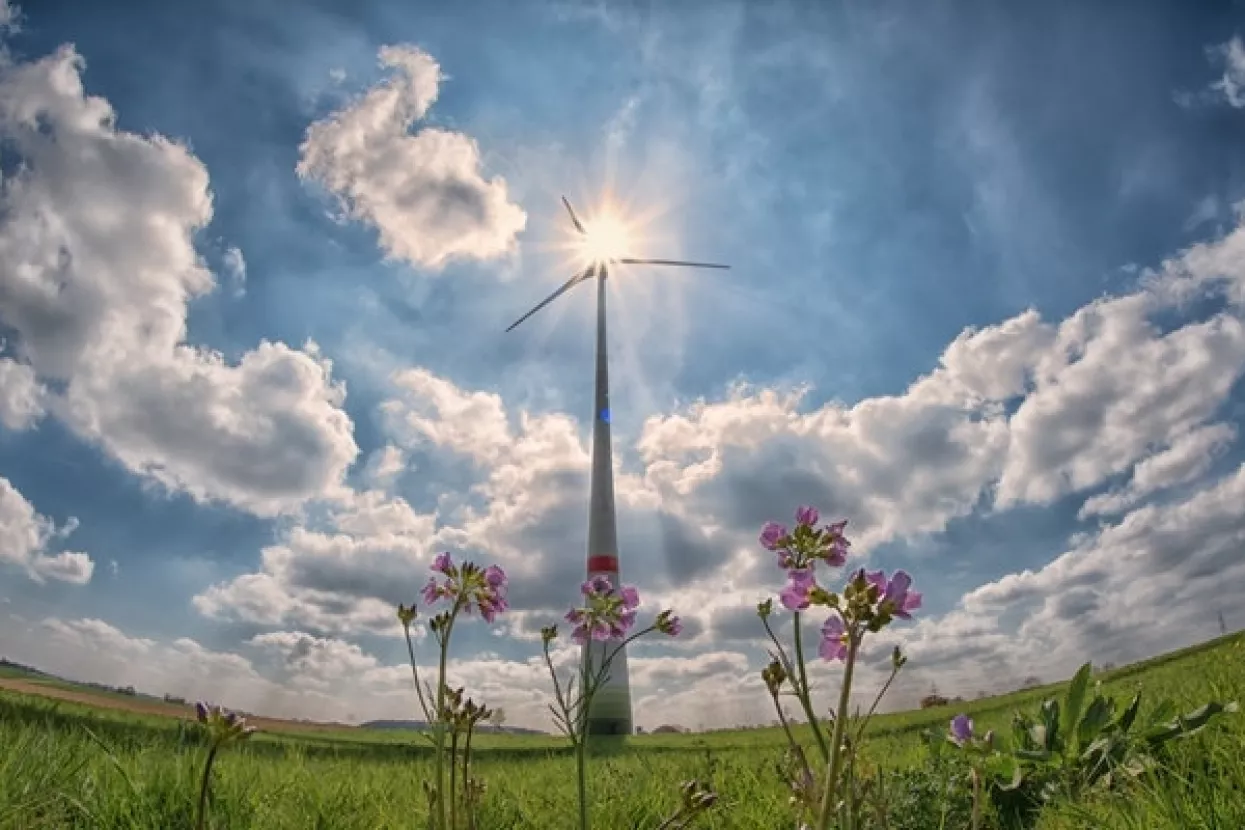 Rekordan porast globalnih kapaciteta za proizvodnju obnovljive energije