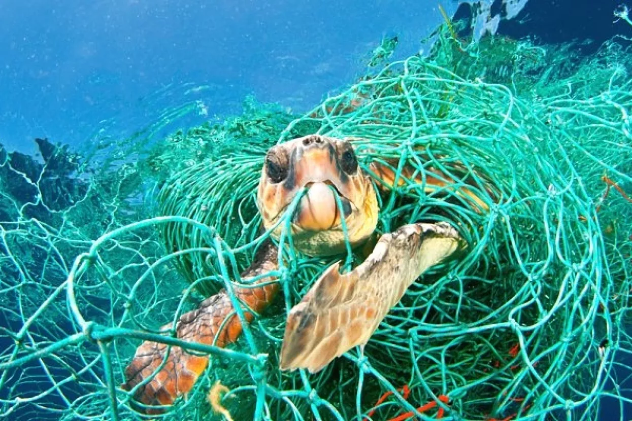 Sredozemno more u opasnosti da postane more plastike