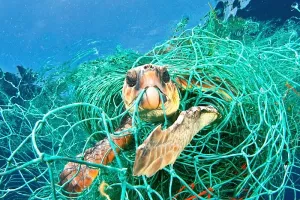 Sredozemno more u opasnosti da postane more plastike