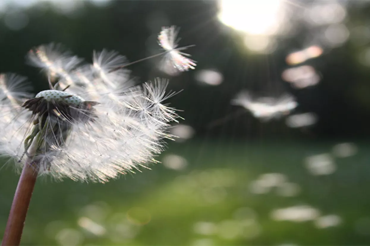 HNS: Demografske mjere predsjednice su samo lijepa lista želja