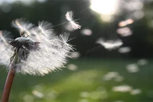 HNS: Demografske mjere predsjednice su samo lijepa lista želja