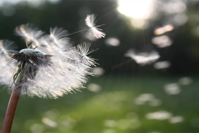 HNS: Demografske mjere predsjednice su samo lijepa lista želja