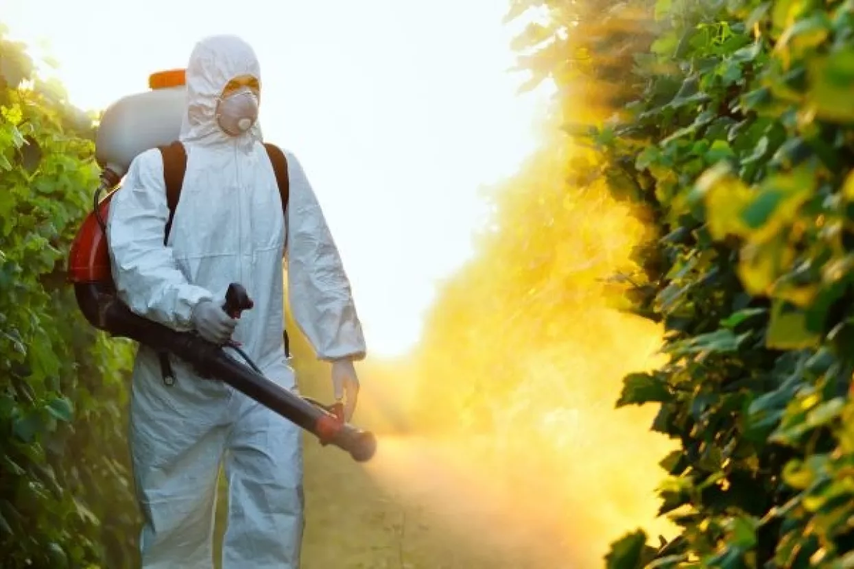 Živi zid krenuo u borbu protiv GMO-a na lokalnoj razini