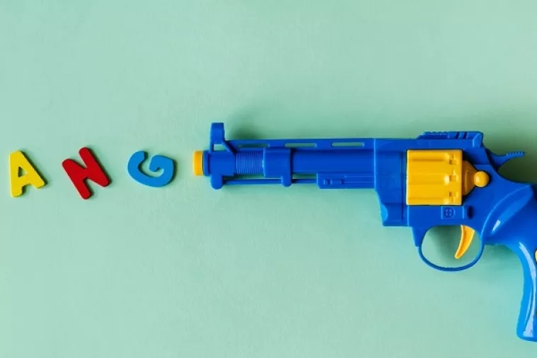 Amerikanci posjeduju 40 posto malokalibarskog oružja u svijetu