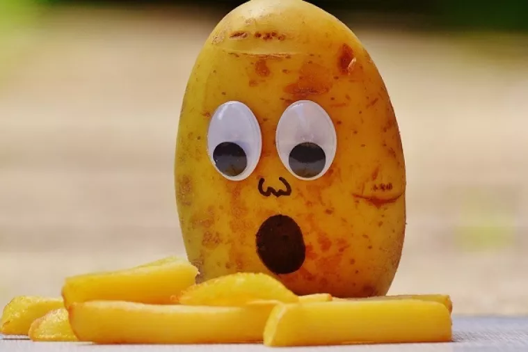 Zakon koji bi mogao zabraniti memeove prošao prvo glasovanje u EU