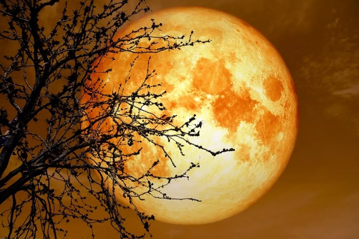 Potraga za nuklearnim gorivom vrijednim bilijune dolara Indijce vodi gdje nijedan čovjek nije kročio