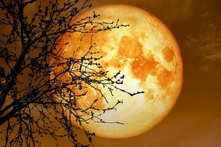 Potraga za nuklearnim gorivom vrijednim bilijune dolara Indijce vodi gdje nijedan čovjek nije kročio