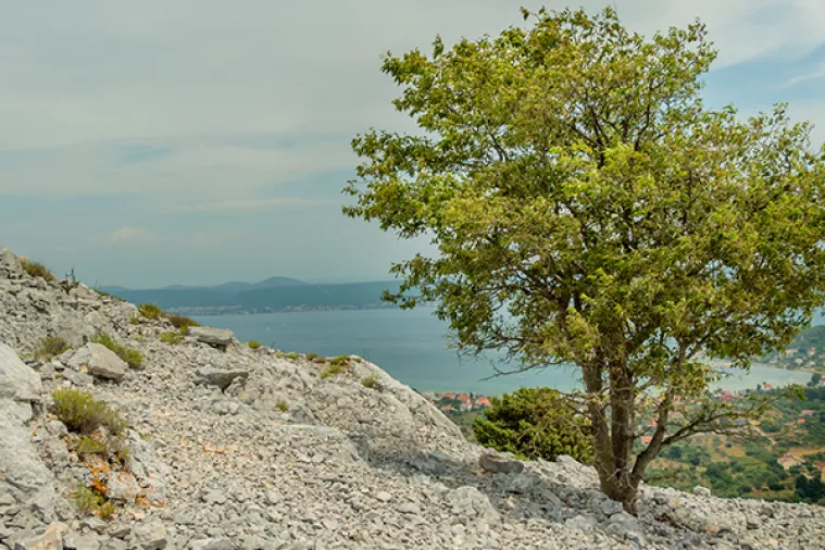 Na hrvatskim otocima snima se postapokaliptični film 'Islander'