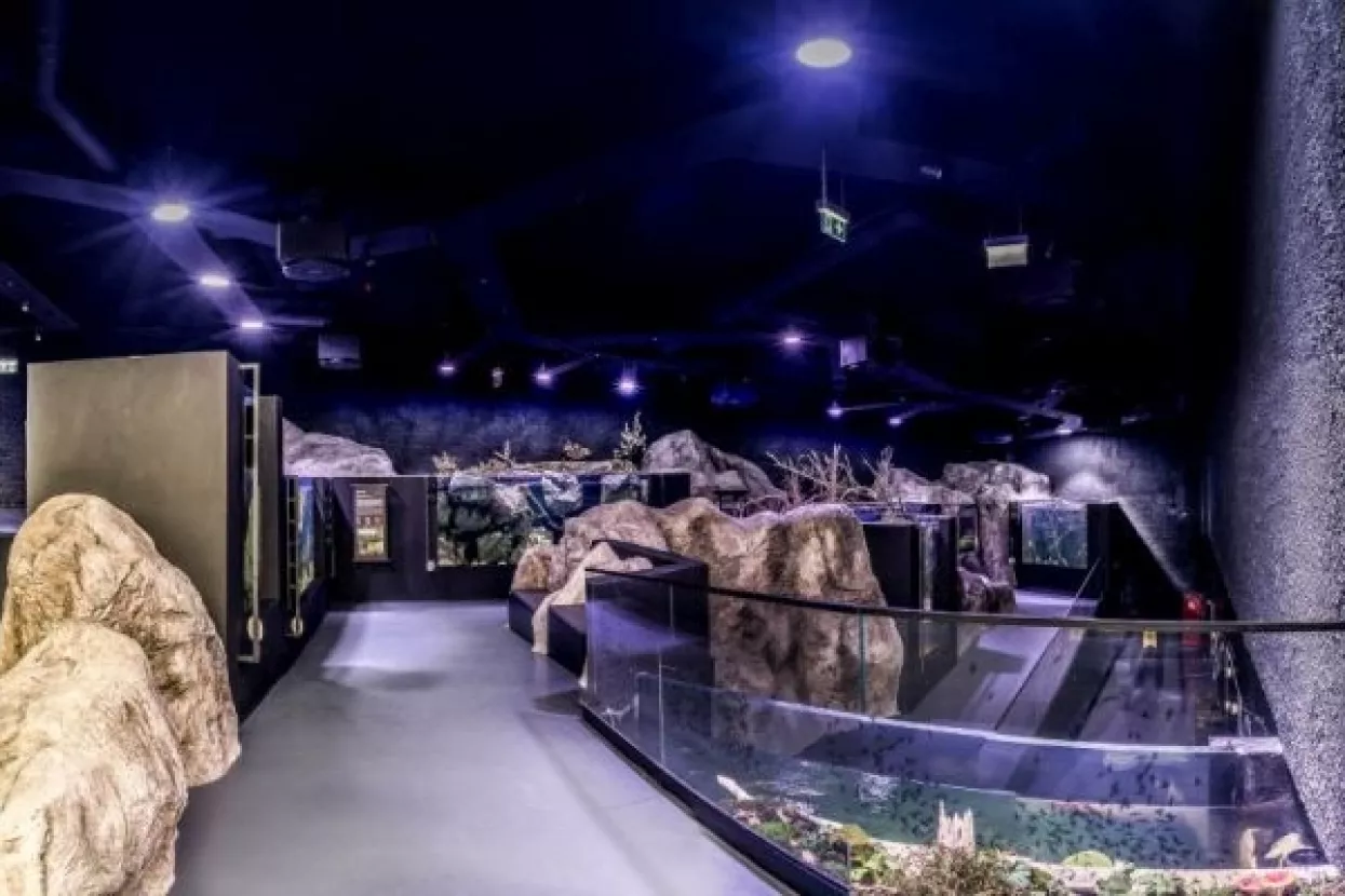 Aquatika, Ivanina kuća bajke i Baraćeve špilje zajedno na turističkom tržištu