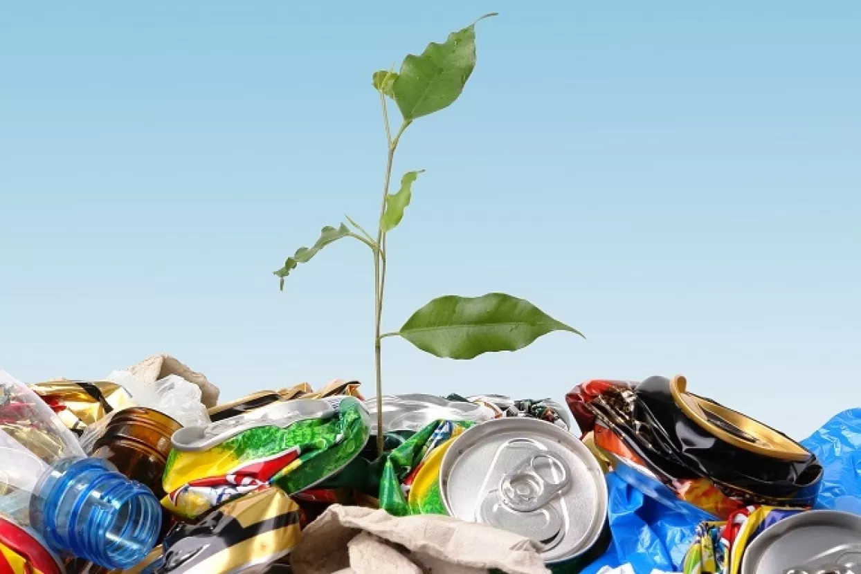Kaufland i Lidl do kraja 2019. godine prestaju prodavati plastične ča&scaron;e, tanjure, slamčice...
