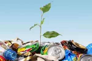 Kaufland i Lidl do kraja 2019. godine prestaju prodavati plastične čaše, tanjure, slamčice...