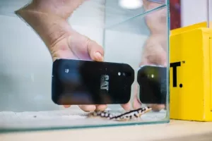 U Hrvatskoj krenula prodaja robusnog pametnog telefona Cat S61