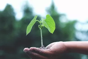 Pravda za sve: Odluke o dodjeli novca iz Ruralnog razvoja trebaju biti upravni akti