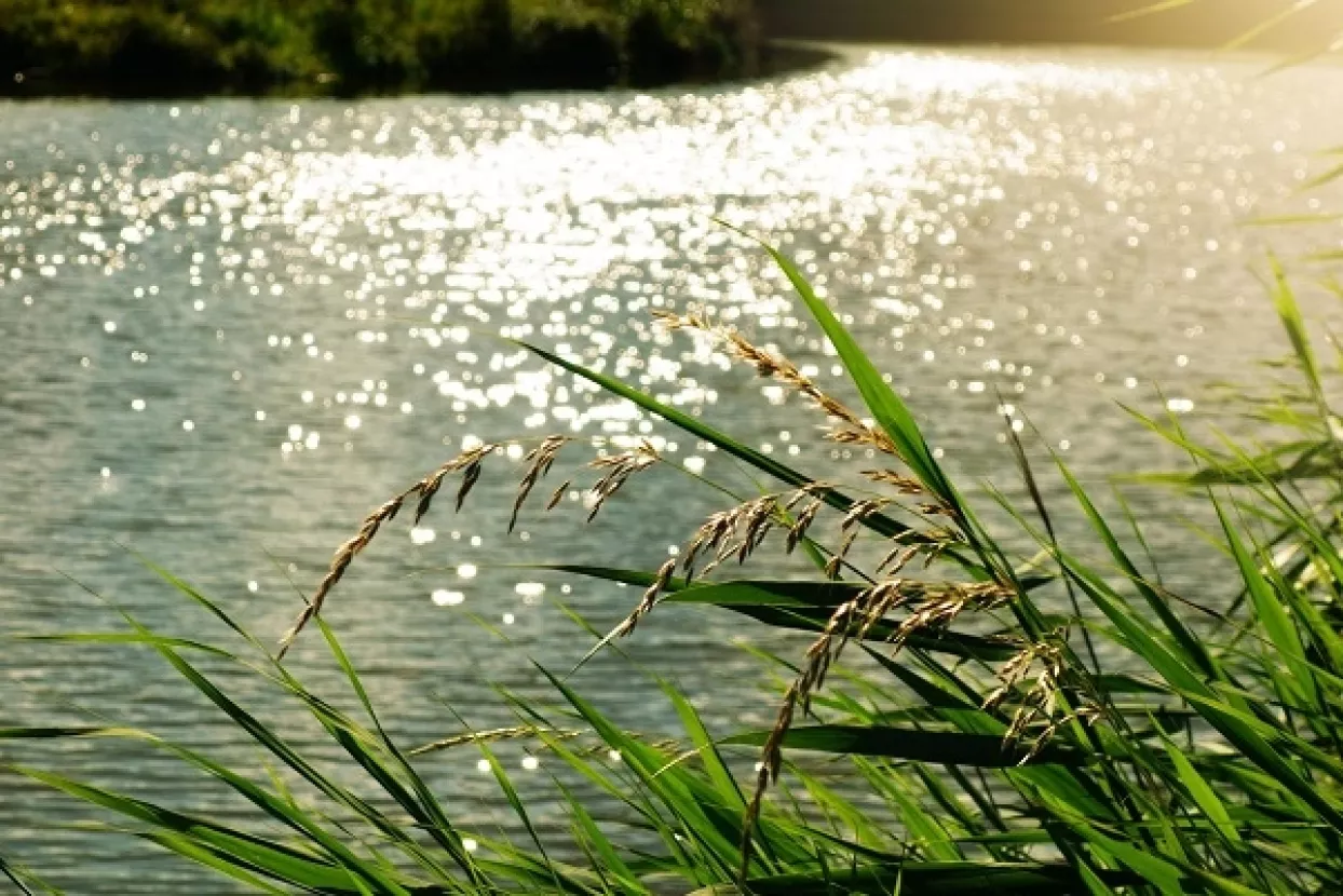 Ministri Ćorić i Počivalšek podržali revitalizaciju Sutlanskog/Vonarskog jezera