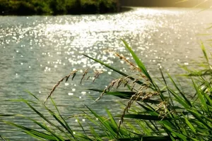 Ministri Ćorić i Počivalšek podržali revitalizaciju Sutlanskog/Vonarskog jezera