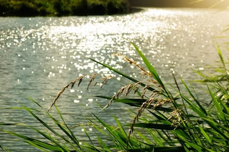 Ministri Ćorić i Počivalšek podržali revitalizaciju Sutlanskog/Vonarskog jezera