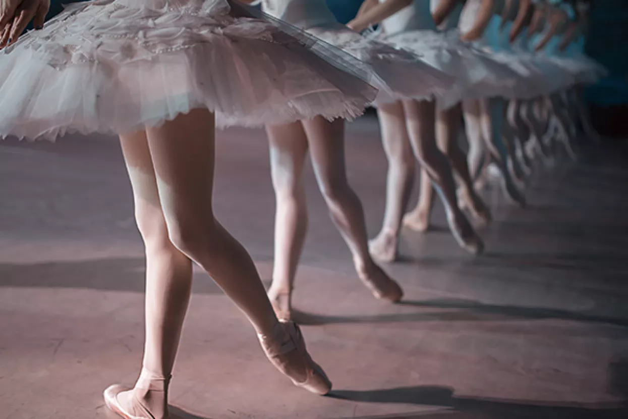 Štakor 'zamračio' Uspavanu ljepoticu, grad