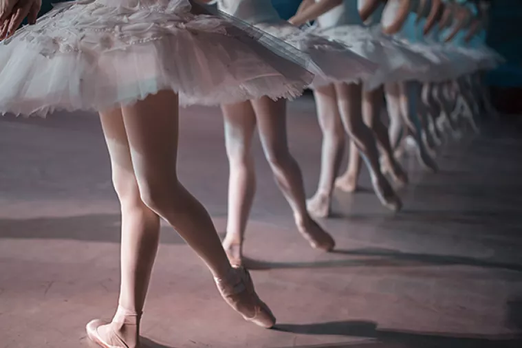 Štakor 'zamračio' Uspavanu ljepoticu, grad