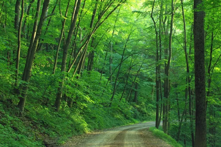 Sabor donio novi Zakon o &scaron;umama: 180 tisuća korisnika oslobađa se plaćanja naknade