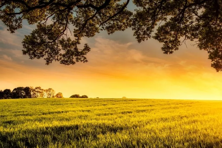 Adria Polymers kupuje milijun četvornih metara zemljišta Dina Petrokemije