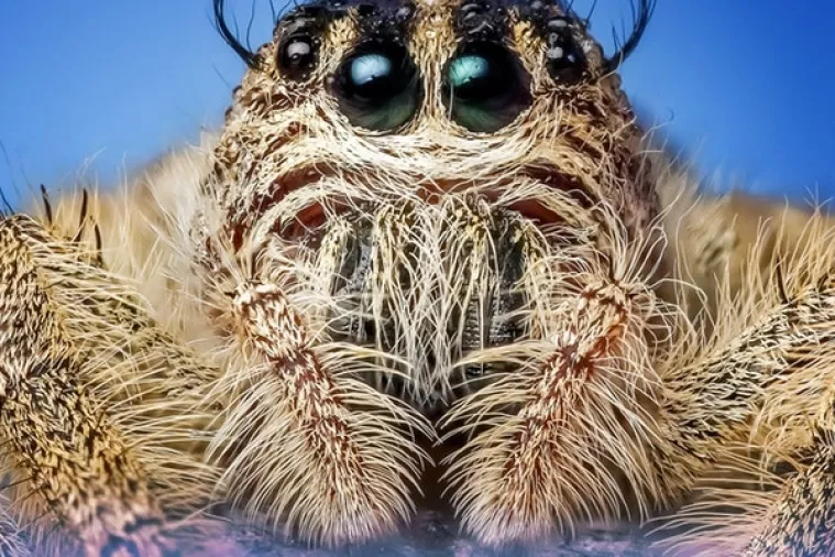 Vi&scaron;nja Stare&scaron;ina: Političke samoobmane o Schengenu, BiH, Agrokoru, iseljavanju...