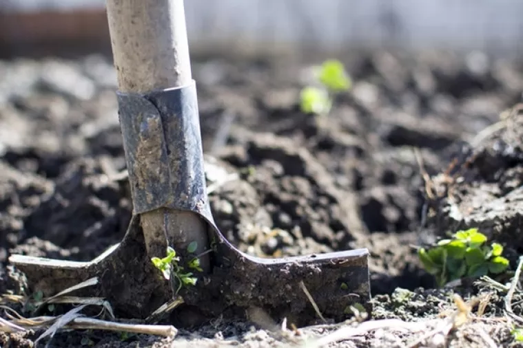 Zagreb: 53 OPG-ova dobilo certifikat 'Proizvodi hrvatskog seljaka'