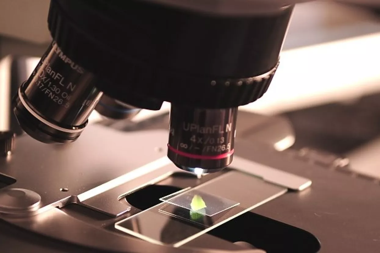 Hrvatski učenici osvojili srebro na međunarodnoj biološkoj olimpijadi