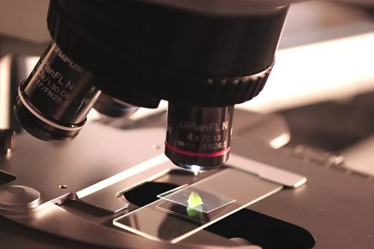 Hrvatski učenici osvojili srebro na međunarodnoj biološkoj olimpijadi