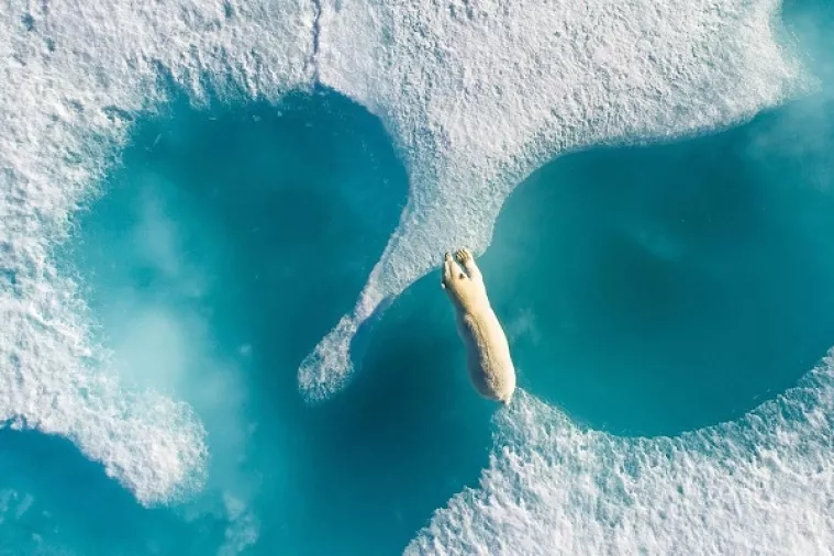 Foto: Najbolje fotografije godine snimljene dronom