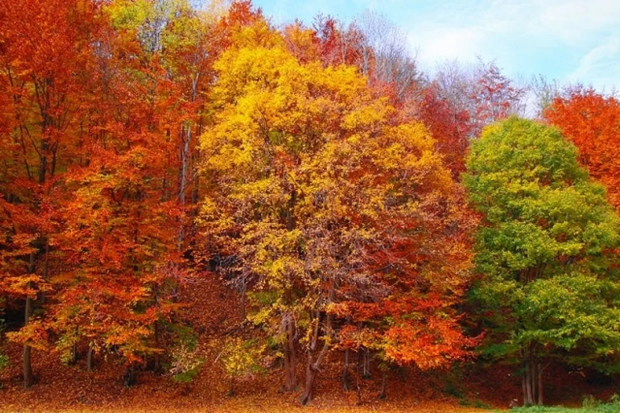 Znanost potvrdila: Ljudi su promijenili godišnja doba