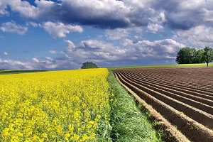 Gubitak PIK-a Vinkovci 347 tisuća, a Vupika 7,3 milijuna kuna