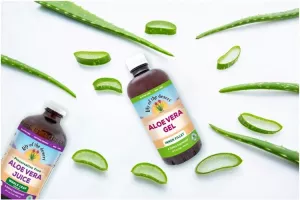 Stigla je najjača svjetska aloe vera iz organskog uzgoja