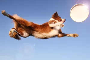 Ljetni Lider trend dolazi s darovima i nudi još supervrijednih darova