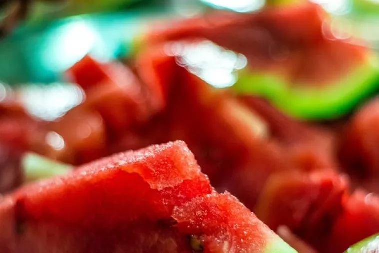 Plenković nema lijek za slavonske lubenice