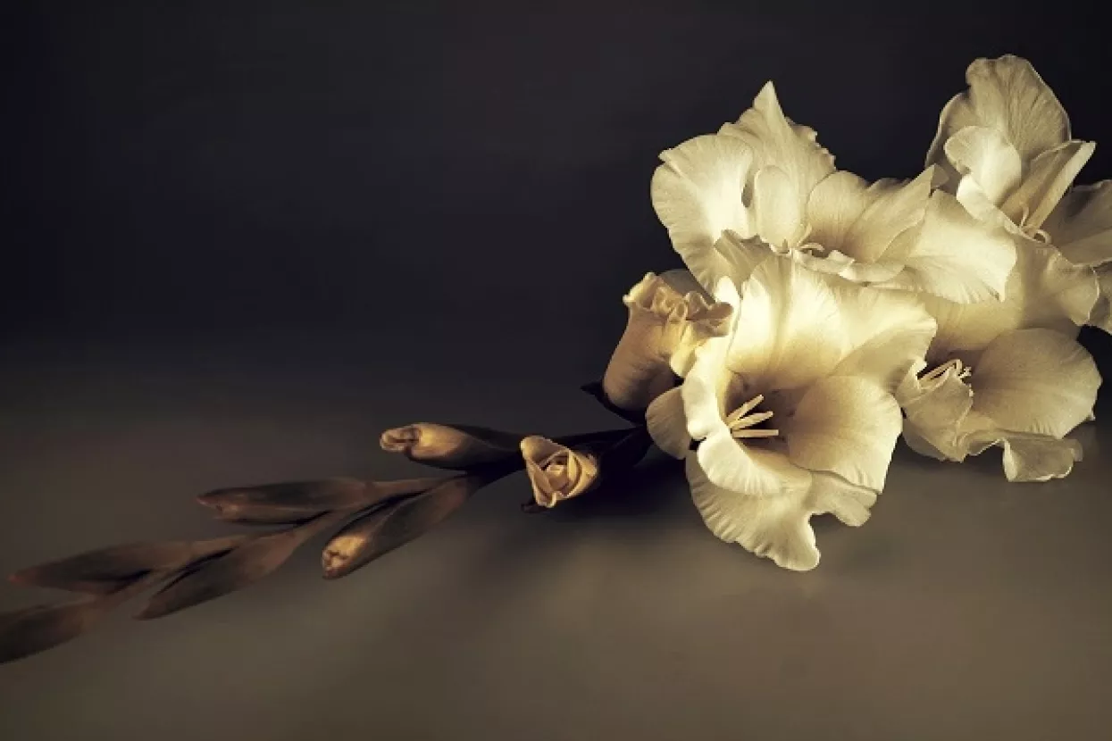 Posljednji oproštaj od Olivera na splitskoj Rivi