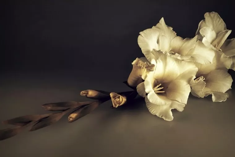 Posljednji oproštaj od Olivera na splitskoj Rivi