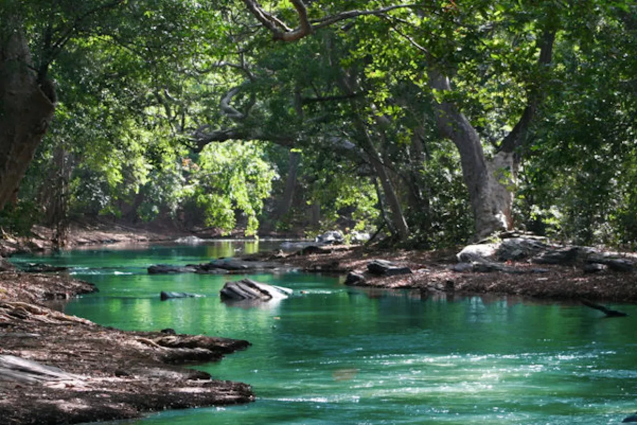 5 najboljih kupali&scaron;ta u okolici Zagreba