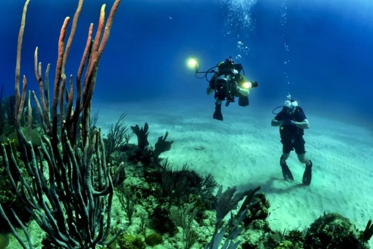 Zagađenje oceana: Samo 13 posto je nezagađeno